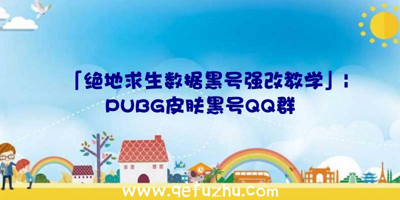 「绝地求生数据黑号强改教学」|PUBG皮肤黑号QQ群